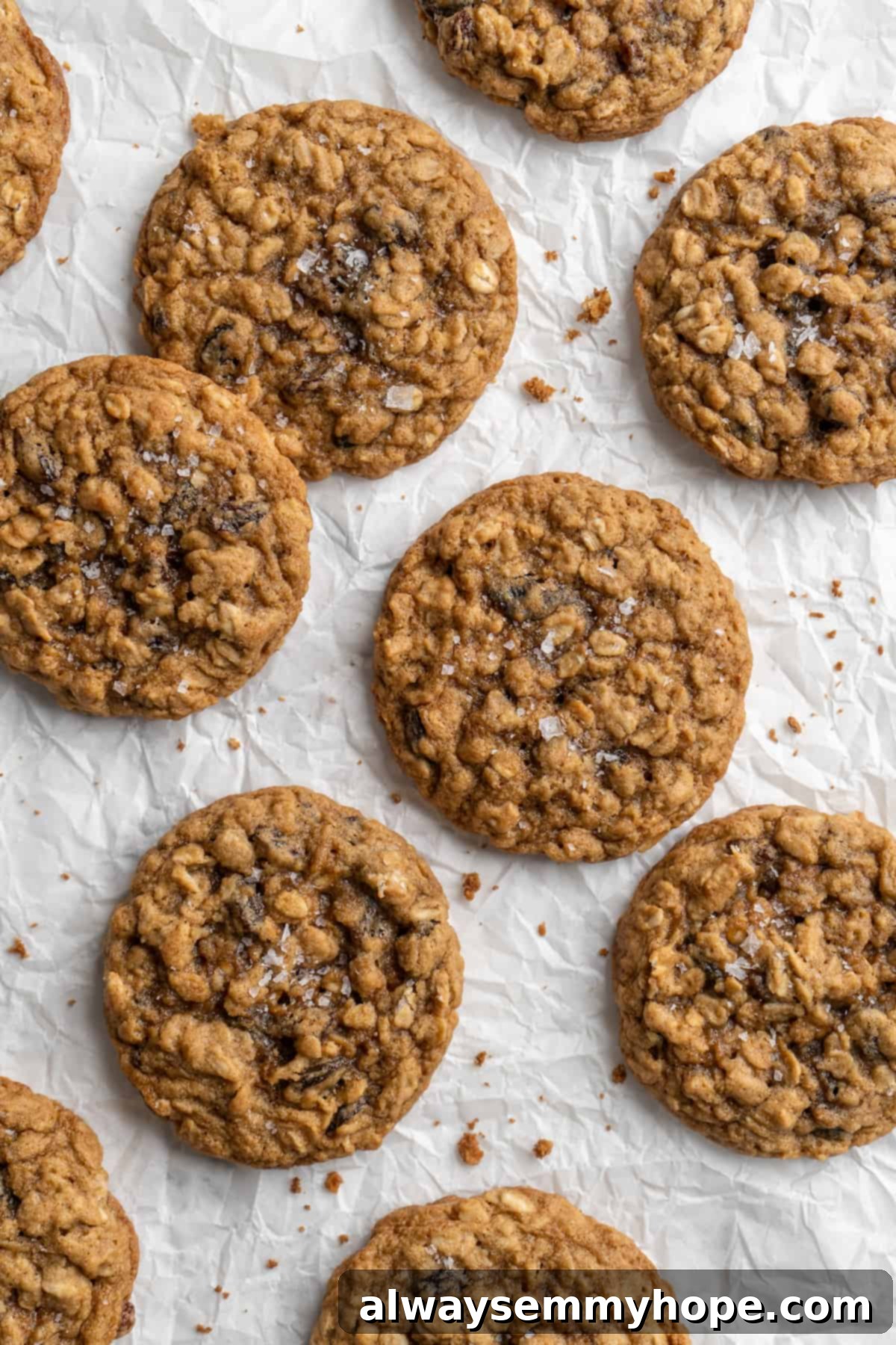 Overhead view of perfectly baked vegan oatmeal cookies arranged on parchment paper