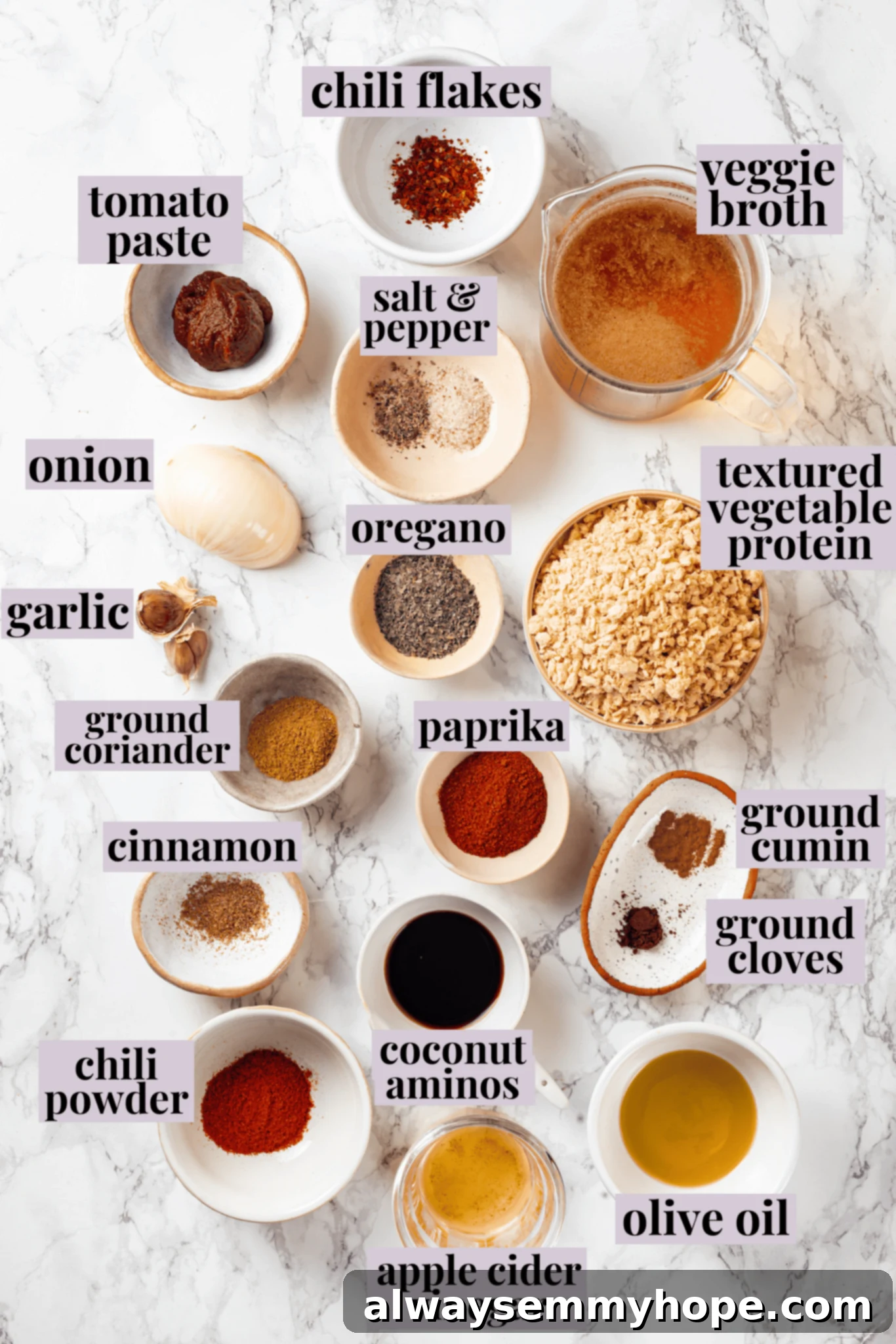 An overhead view of various ingredients for soyrizo laid out on a wooden surface, with labels for each item.