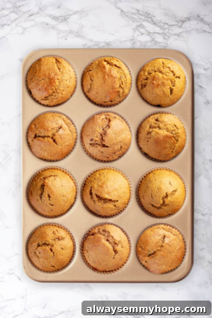 Baked Pumpkin Banana Muffins in Pan Overhead view of freshly baked pumpkin banana muffins in a pan, golden brown and perfectly risen.