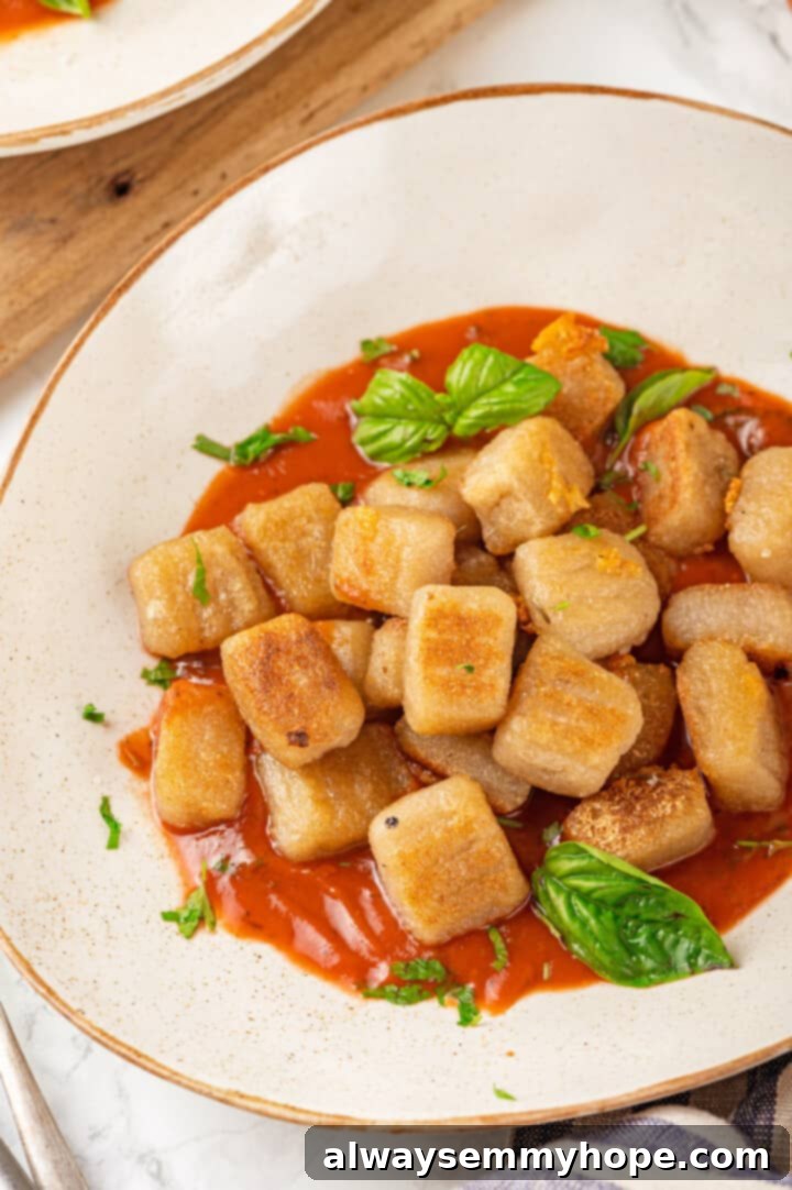 Plate of cauliflower gnocchi with marinara and fresh basil leaves