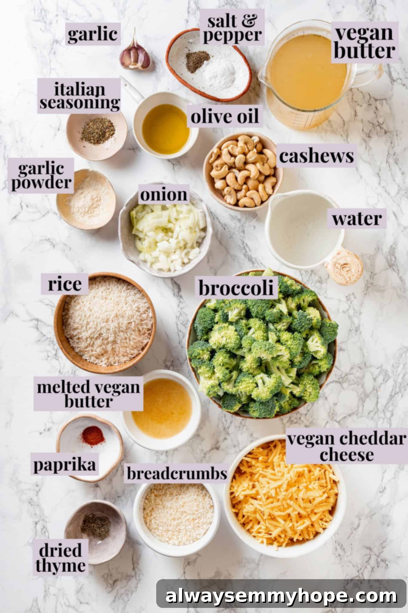 Overhead view of ingredients for broccoli cheese rice casserole with labels