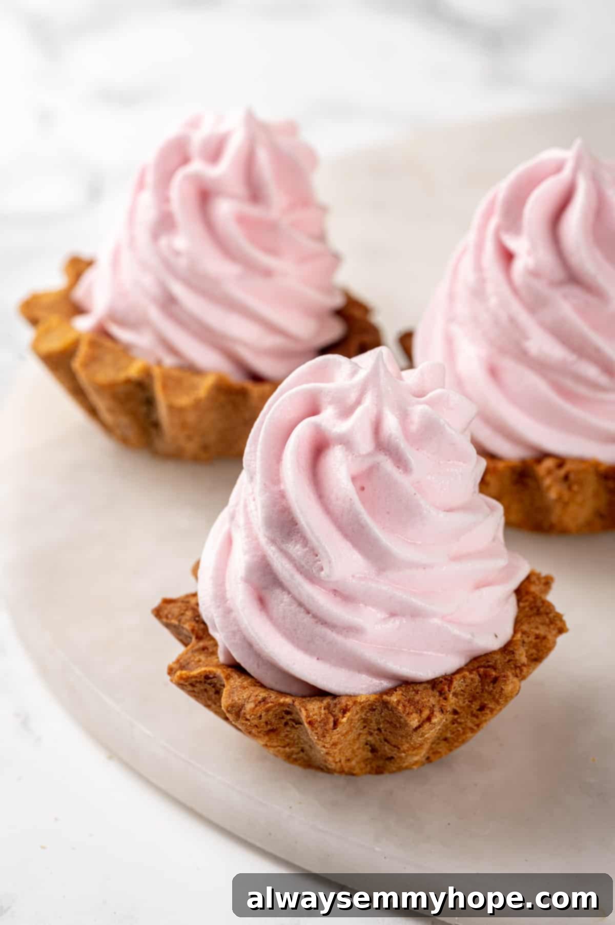 Vegan Meringue Perfection with Aquafaba: A Game-Changer Mini tarts topped with fluffy vegan meringue, demonstrating the effectiveness of aquafaba as an egg substitute.