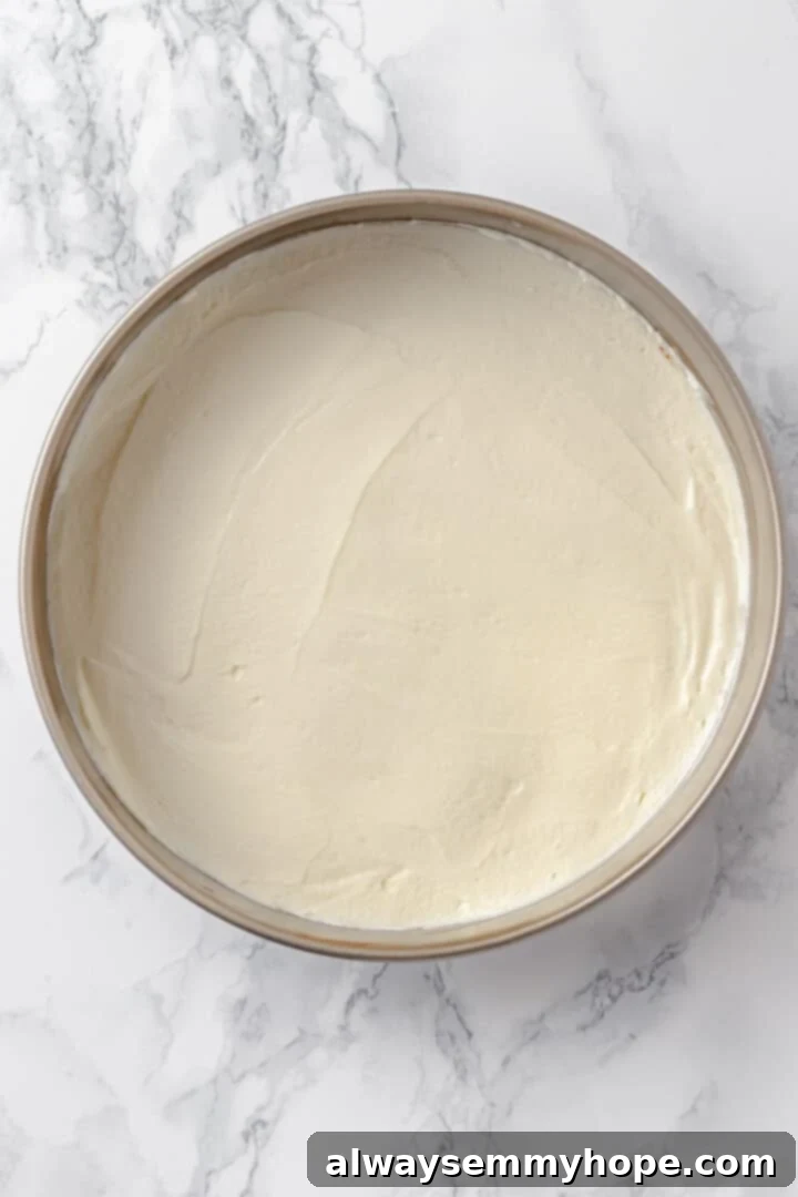 Overhead view of cheesecake in pan before baking