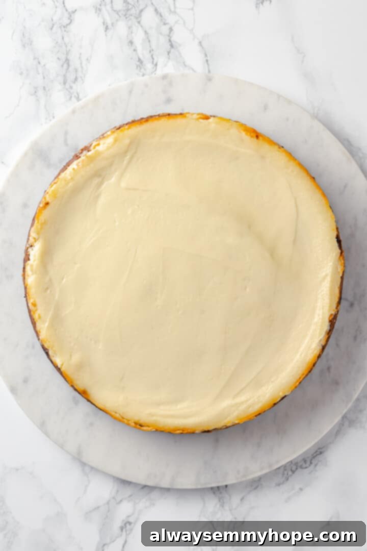 Overhead view of baked cheesecake before adding toppings