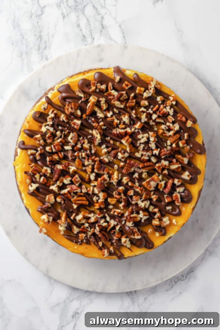 Overhead view of whole vegan turtle cheesecake on marble platter