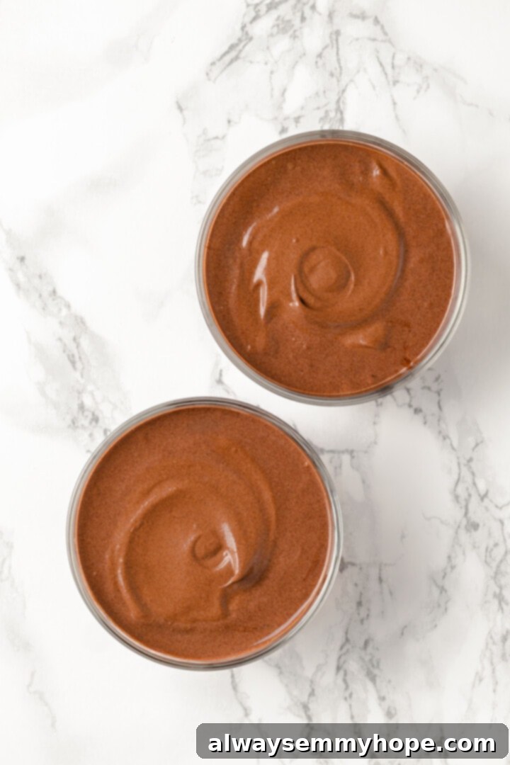 Vegan protein pudding in 2 bowls