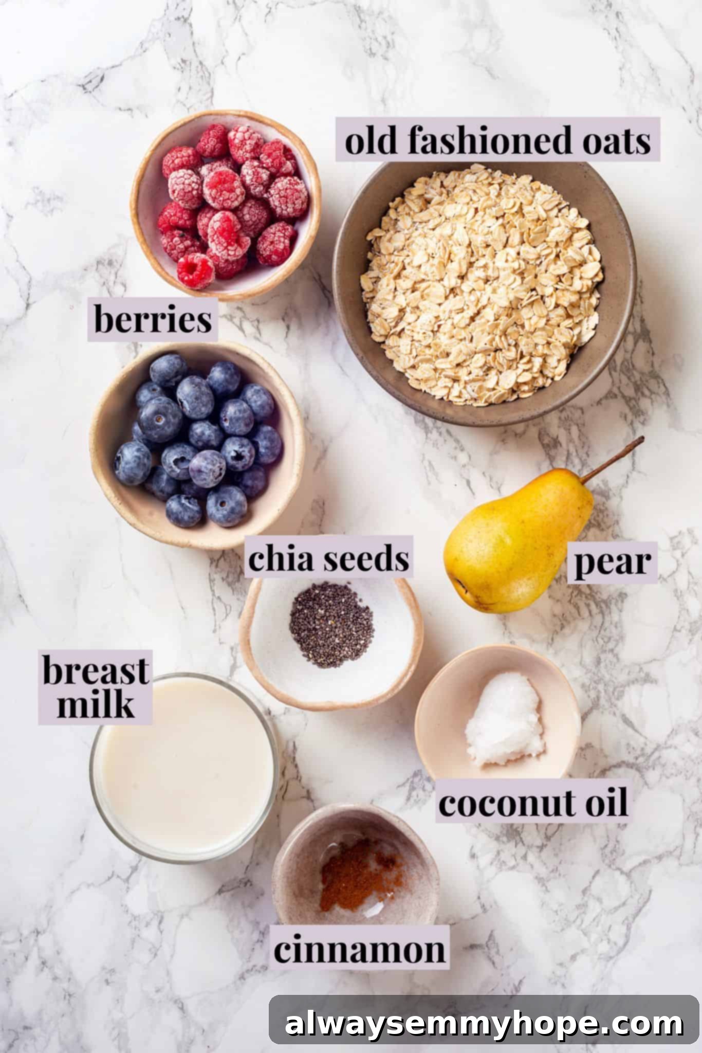 Overhead view of fresh ingredients for baby oatmeal, including oats, water, pear, cinnamon, and coconut oil.