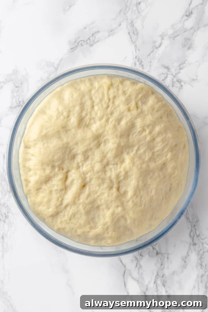 This soft pretzel recipe is fun to make and the results are outstanding—chewy, buttery, and perfect to serve with your fave dipping sauce! Overhead view of pretzel dough in bowl after rising