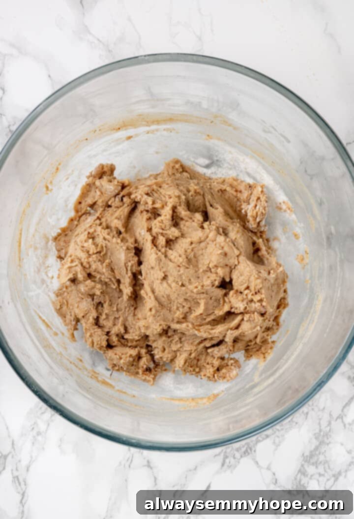 Cookie dough in mixing bowl, perfectly combined and ready for shaping