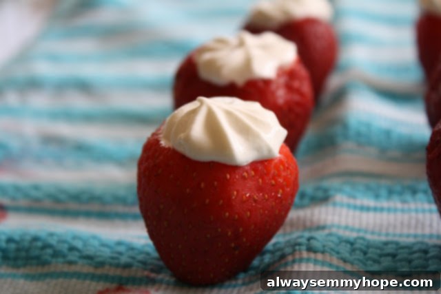 A row of fresh strawberries elegantly stuffed with piped fat-free cream cheese frosting, ready for serving.