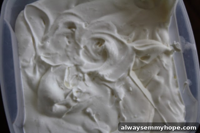Overhead shot of creamy cream cheese frosting in a plastic container, highlighting its smooth and inviting texture.
