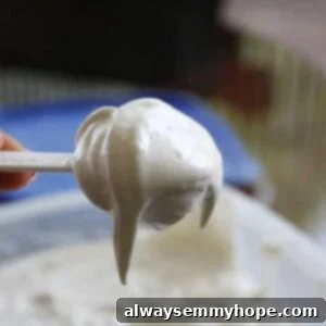 Creamy, almost fat-free cream cheese frosting in a circular dish, ready for serving or decorating.