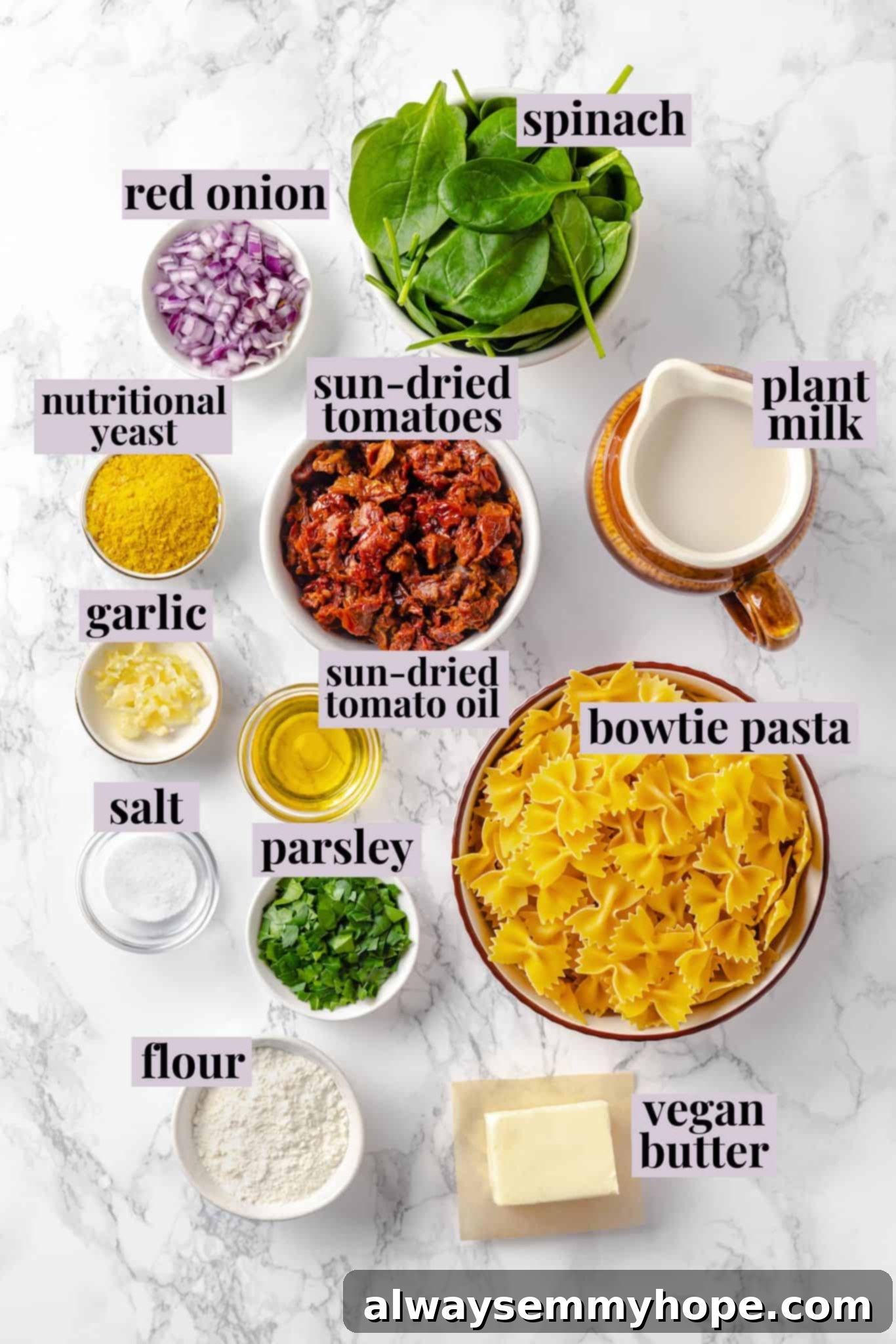 All the fresh ingredients for making creamy vegan sun-dried tomato pasta. Overhead view of all ingredients for creamy vegan sun-dried tomato pasta, neatly laid out and labeled.