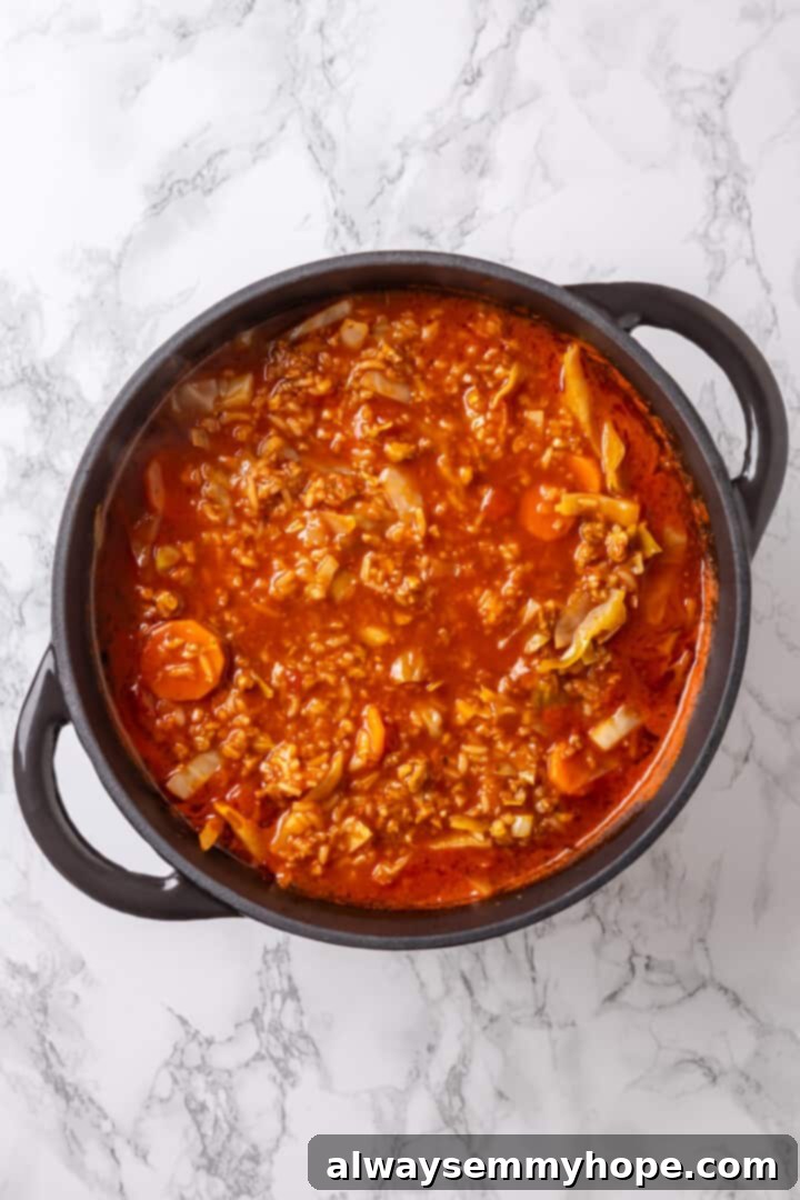 Satisfying cabbage roll soup is a filling meal in a bowl! Skip all the work and enjoy your cabbage rolls in the form of a hearty soup recipe. Overhead view of all ingredients for cabbage roll soup, including broth, tomatoes, and rice, simmering in a pot.