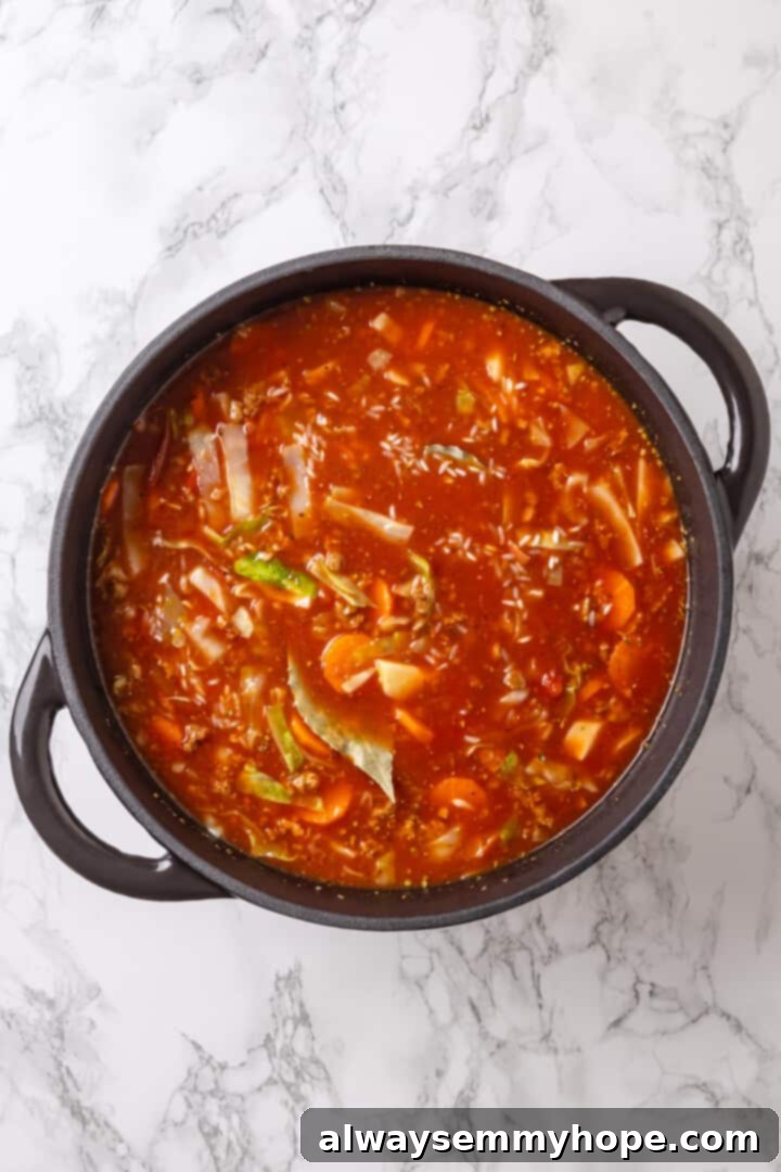 Satisfying cabbage roll soup is a filling meal in a bowl! Skip all the work and enjoy your cabbage rolls in the form of a hearty soup recipe. Overhead view of the finished, rich, and hearty vegan cabbage roll soup in a pot, ready to be served.