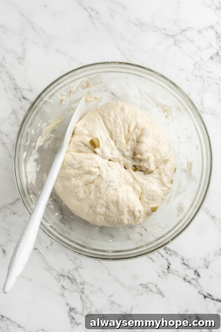 This crusty no-knead olive bread recipe is perfect for beginning bakers, but seasoned pros will love it too. Easy and delicious! Overhead view of olive bread dough in a glass bowl after folding, showing its smoother texture