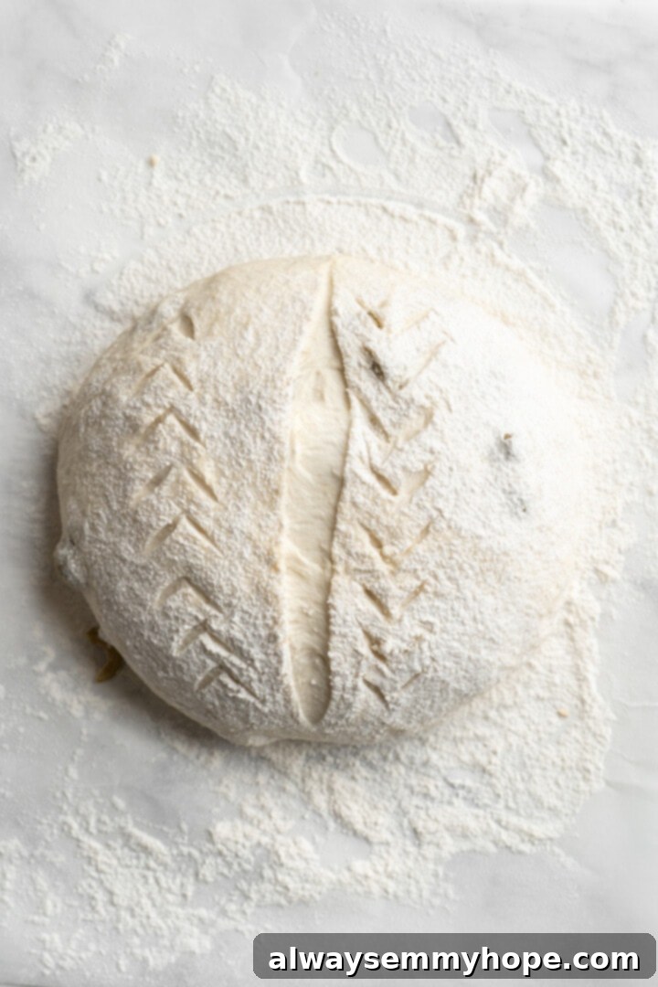 This crusty no-knead olive bread recipe is perfect for beginning bakers, but seasoned pros will love it too. Easy and delicious! Overhead view of olive bread dough after scoring with a sharp knife, creating a vent