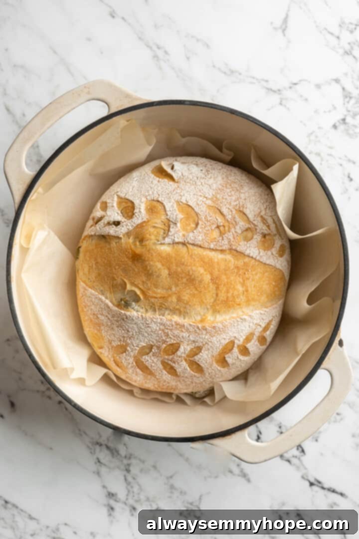 This crusty no-knead olive bread recipe is perfect for beginning bakers, but seasoned pros will love it too. Easy and delicious! Overhead view of olive bread in Dutch oven after initial covered baking, showing its risen form