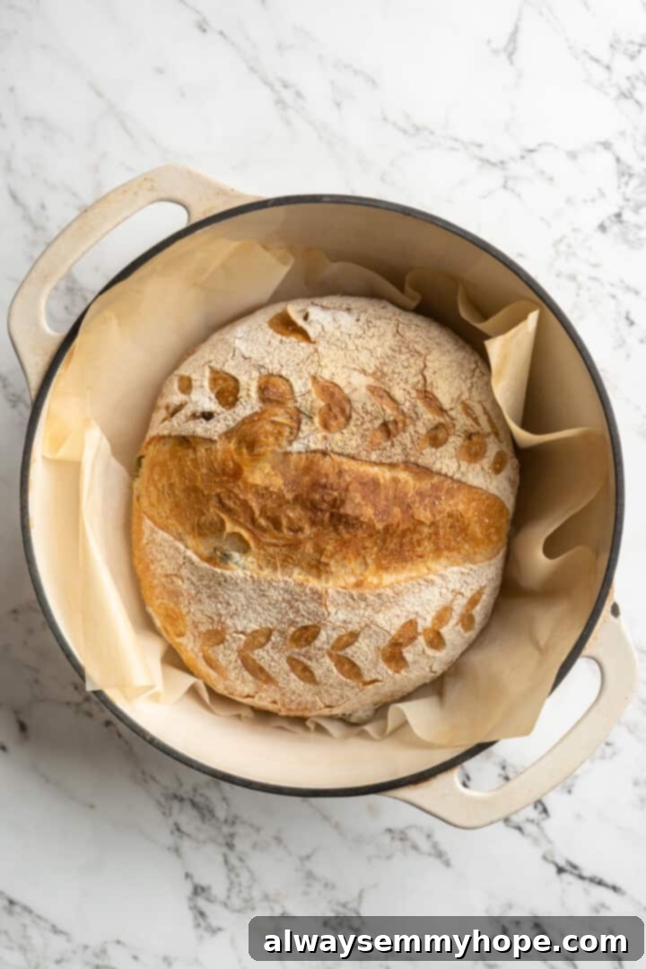 This crusty no-knead olive bread recipe is perfect for beginning bakers, but seasoned pros will love it too. Easy and delicious! Overhead view of golden-brown olive bread fully baked in the Dutch oven
