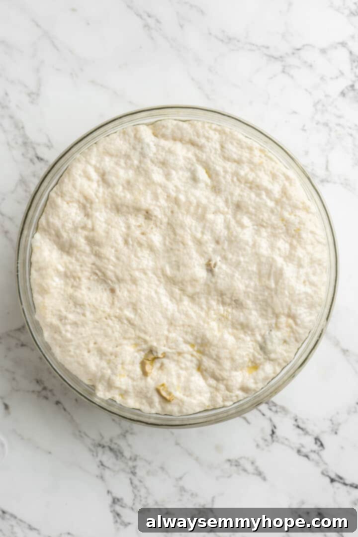 This crusty no-knead olive bread recipe is perfect for beginning bakers, but seasoned pros will love it too. Easy and delicious! Overhead view of risen olive bread dough in a glass bowl, showing its expanded volume and bubbles