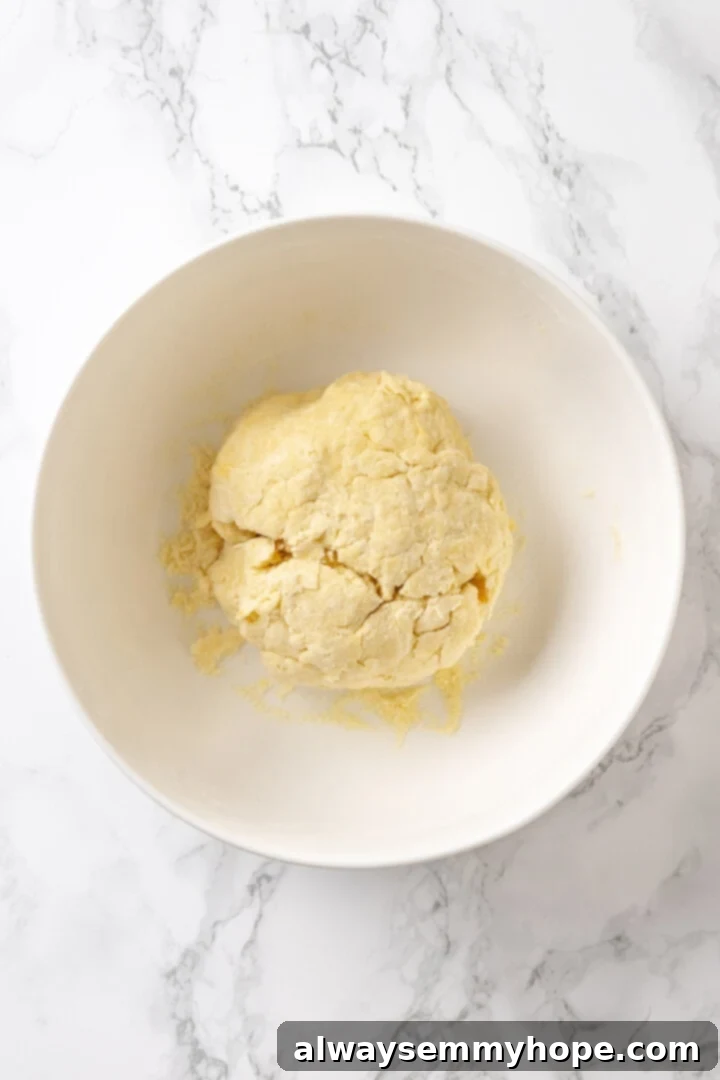 Butternut squash ravioli is fun to make at home and the results are delicious. Tender pasta pockets filled with creamy, caramelized squash! Pasta dough in bowl