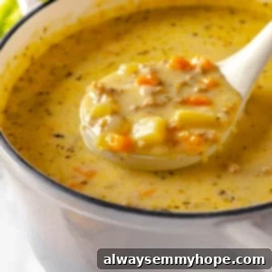 Creamy Vegan Cheeseburger Soup 2 Ladle full of cheeseburger soup in pot