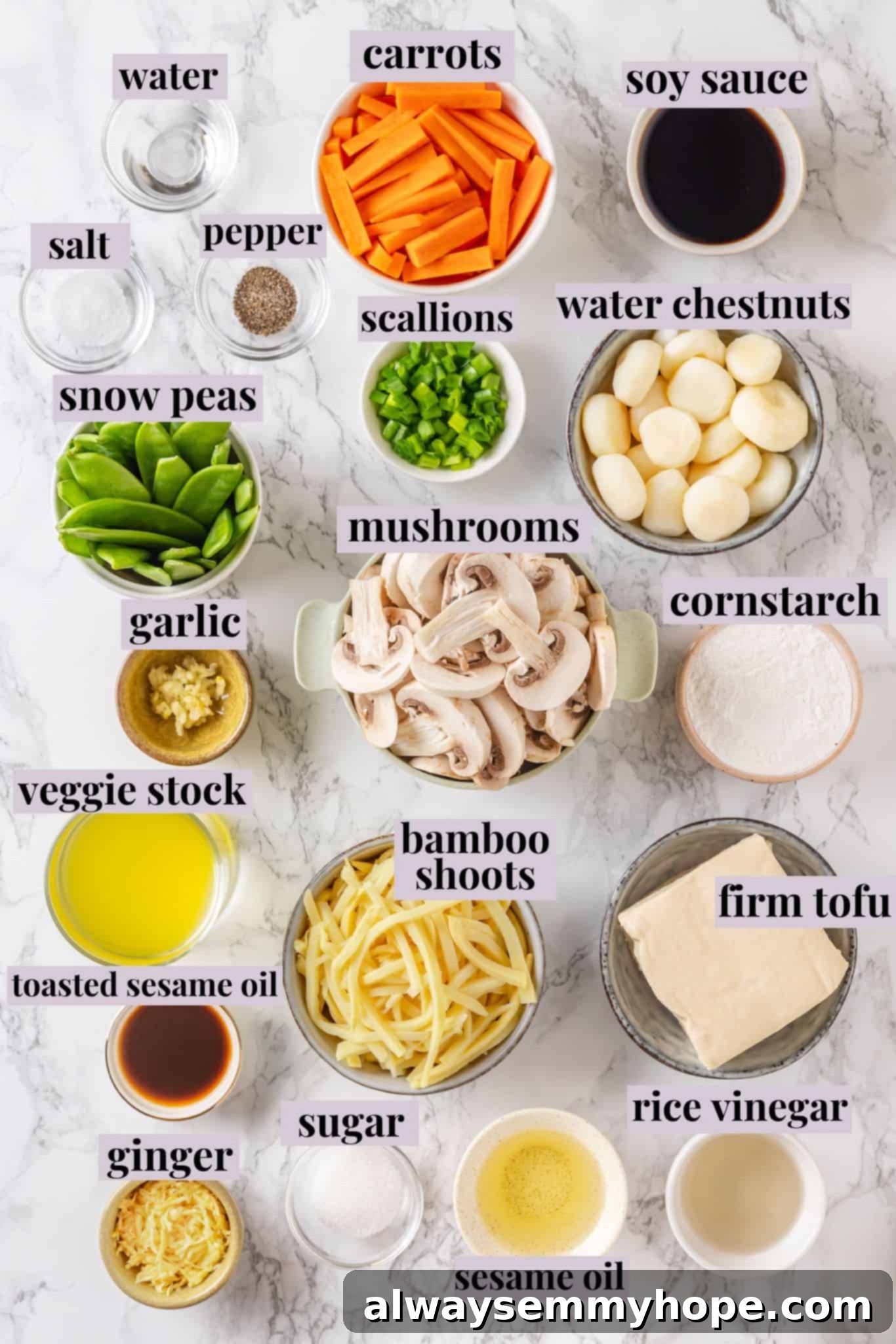 Overhead view of various fresh ingredients for moo goo gai pan laid out with labels: tofu, mushrooms, carrots, snow peas, bamboo shoots, water chestnuts, and scallions