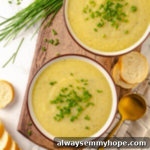 Chilled Leek and Potato Soup 2 Overhead view of two bowls of vegan vichyssoise