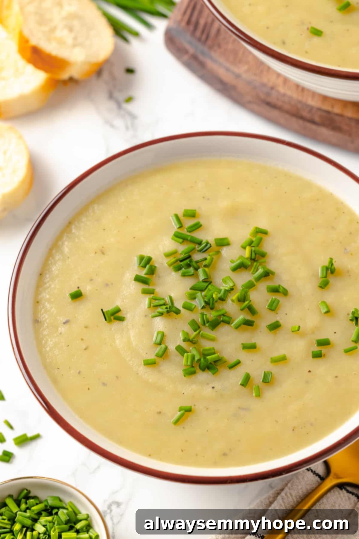 A perfect bowl of vegan vichyssoise, creamy and garnished with chives A bowl of creamy vegan vichyssoise garnished with vibrant fresh chives