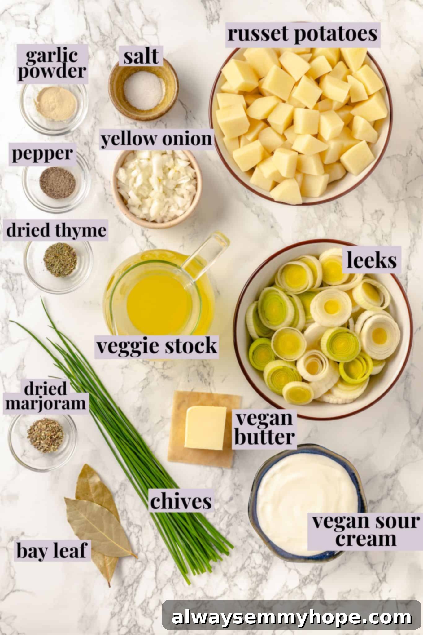 Fresh ingredients ready for homemade vegan vichyssoise Overhead view of fresh ingredients for making vegan vichyssoise, including leeks, potatoes, onions, and spices