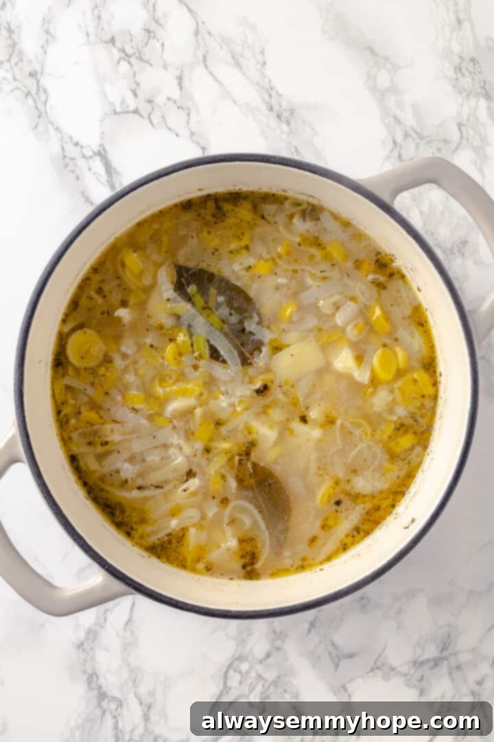 Cooked soup in pot, ready for blending Close-up overhead shot of the cooked leek and potato soup in a pot before blending