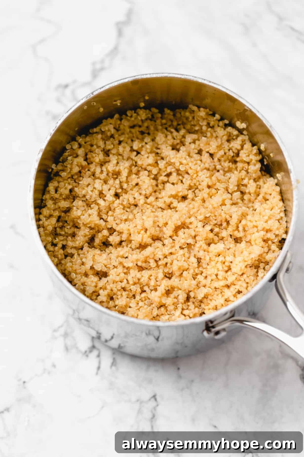 Perfectly cooked fluffy quinoa resting in a silver saucepan, ready to be served or used in meal prep