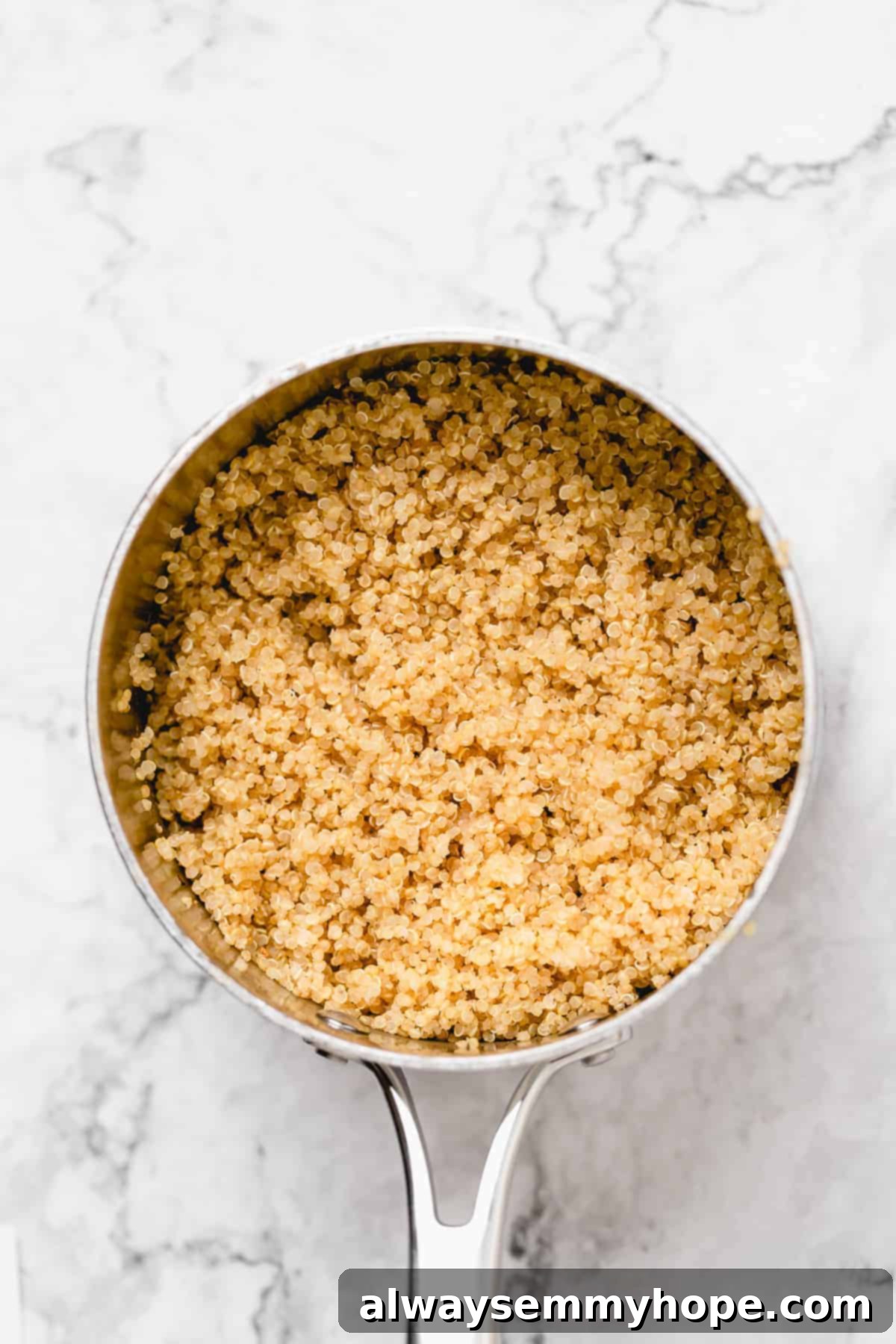 Close-up of a pan with raw quinoa and a bottle of olive oil nearby, ready for toasting