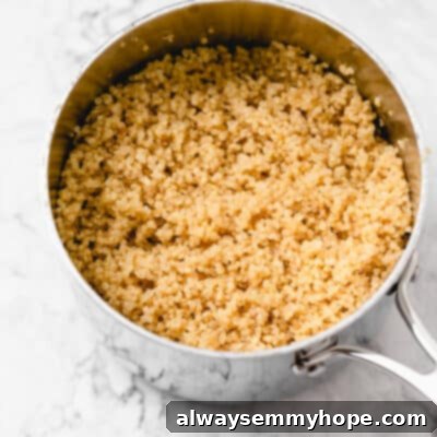 cooked quinoa in a silver saucepan