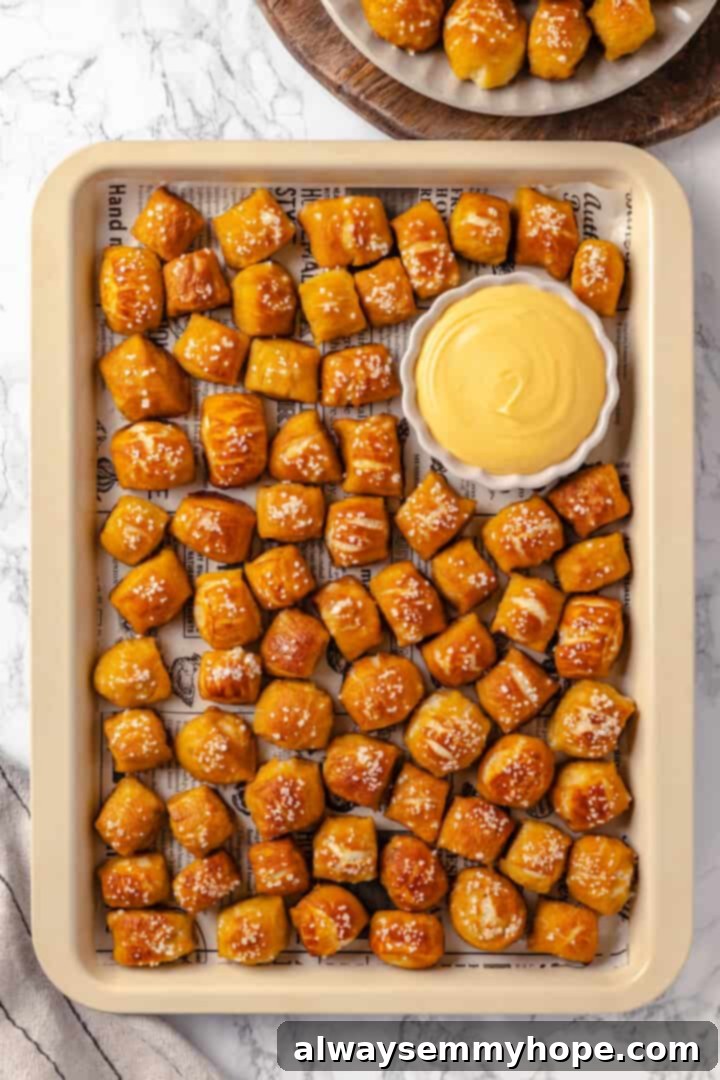 Homemade vegan pretzel bites are the snackable sibling to regular soft pretzels! They're perfect for game day parties and easy to make too. A freshly baked tray of vegan pretzel bites, glistening with melted vegan butter and perfectly salted, served with a side of cheese dip.