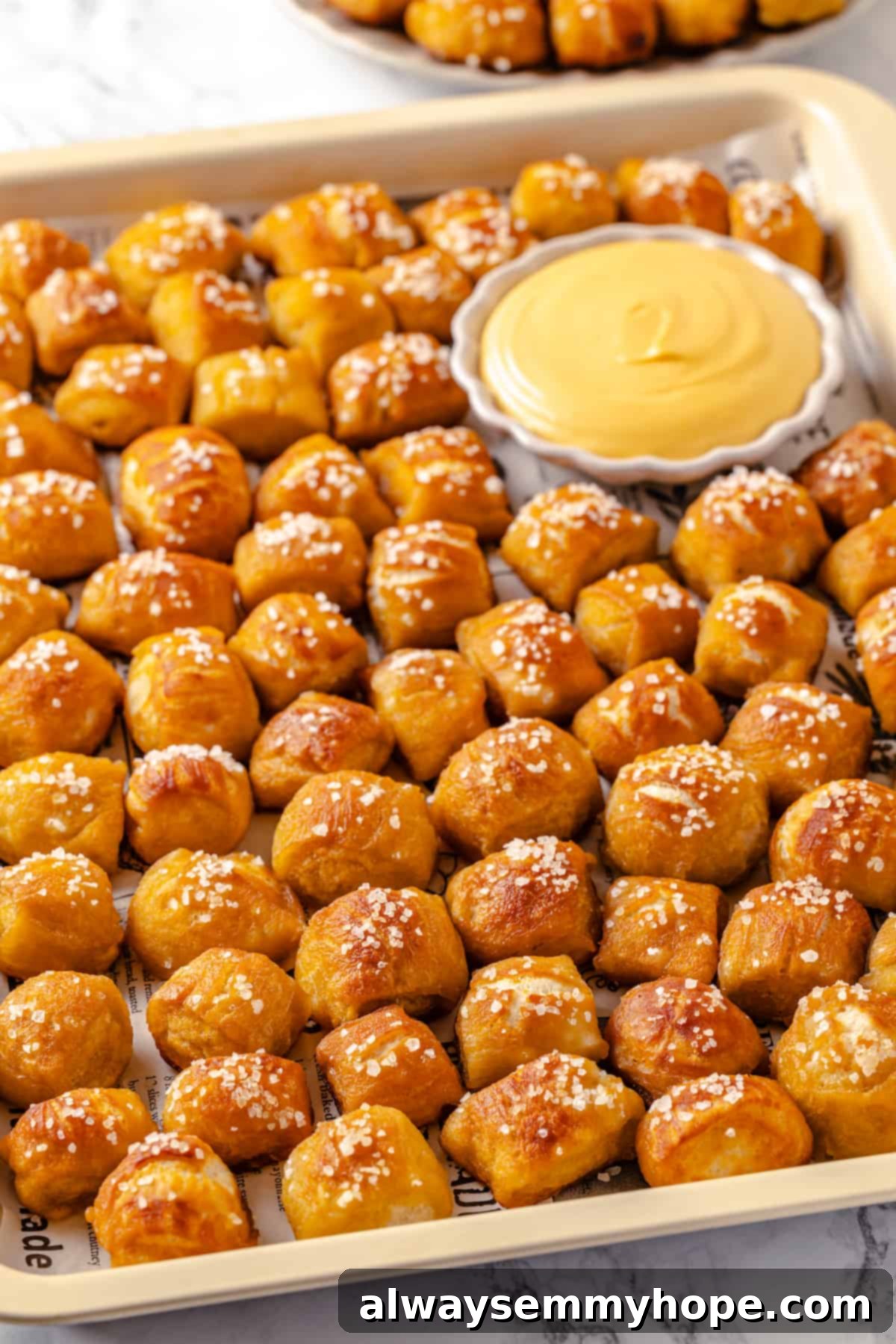 Homemade vegan pretzel bites are the snackable sibling to regular soft pretzels! They're perfect for game day parties and easy to make too. A large tray filled with freshly baked, golden-brown vegan pretzel bites and a bowl of creamy cheese dip, perfect for serving.