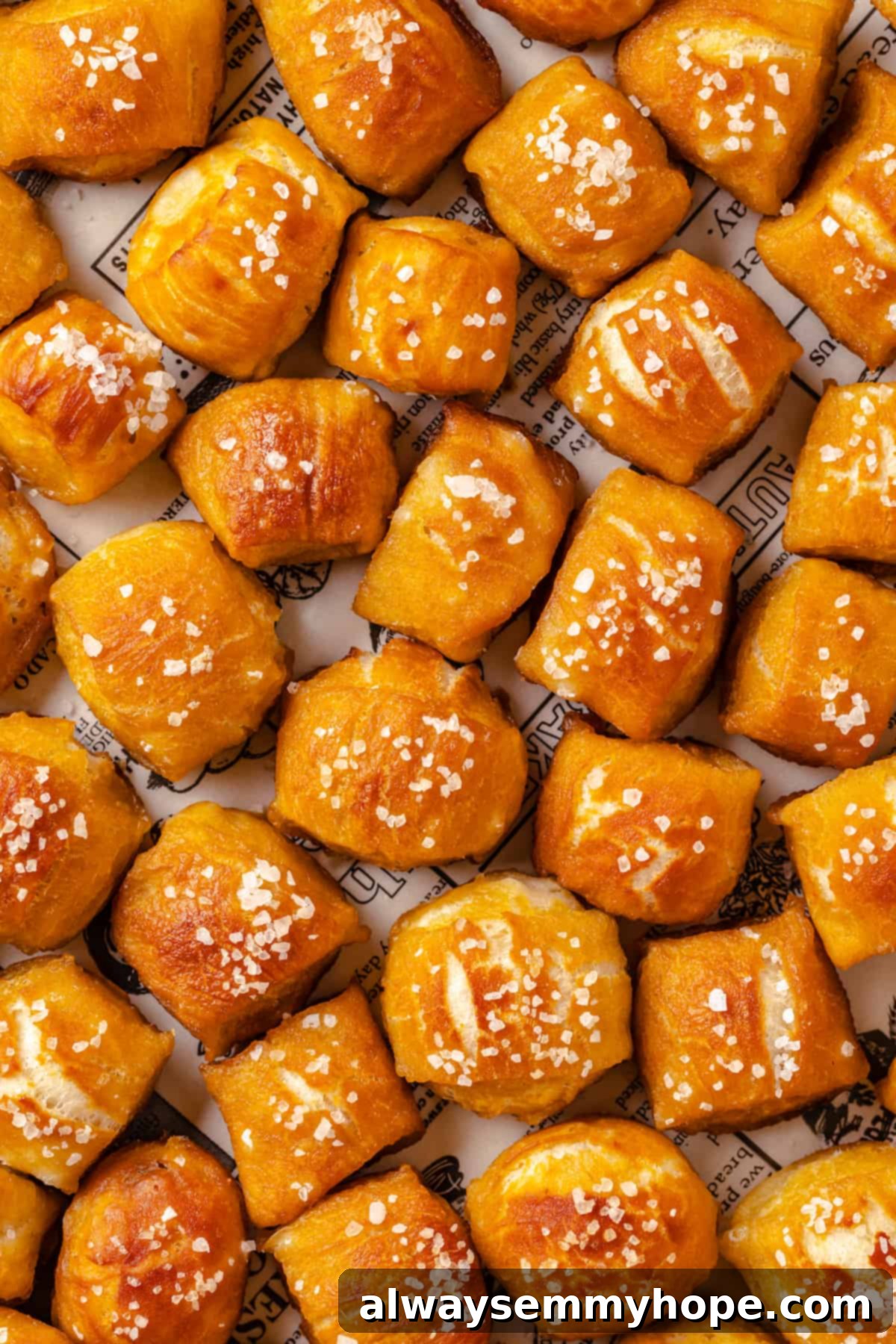 Homemade vegan pretzel bites are the snackable sibling to regular soft pretzels! They're perfect for game day parties and easy to make too. An overhead shot showcasing a platter of freshly baked vegan pretzel bites, ready to be enjoyed.