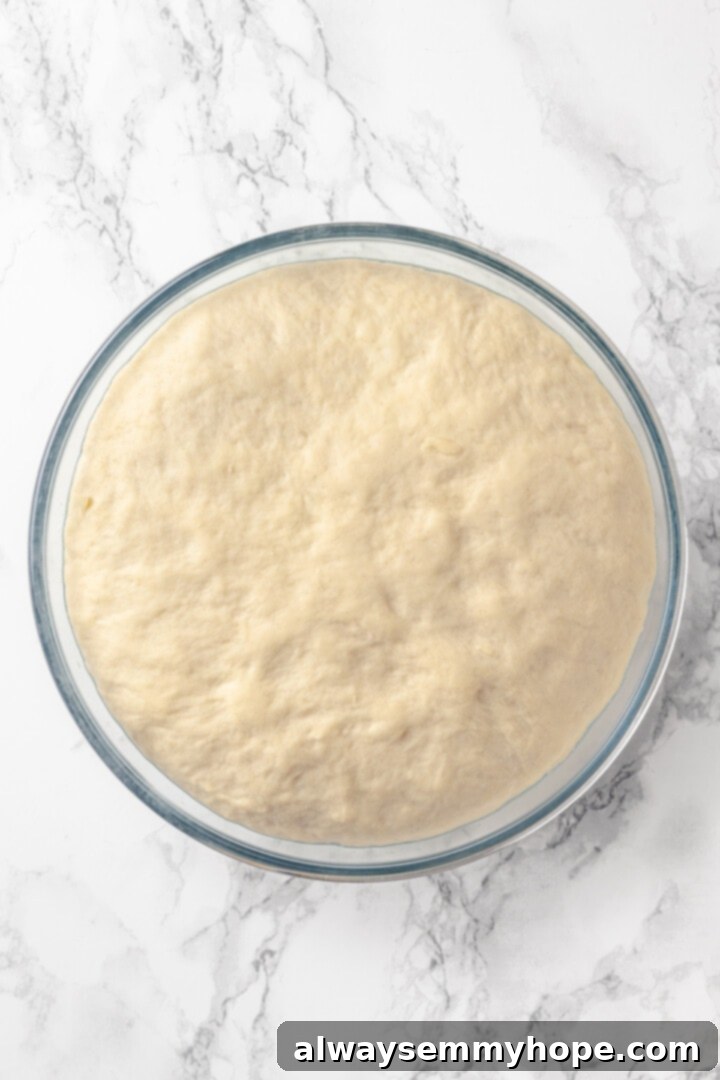 Homemade vegan pretzel bites are the snackable sibling to regular soft pretzels! They're perfect for game day parties and easy to make too. A close-up view of pretzel dough that has beautifully risen, almost doubled in size, indicating successful yeast activation.