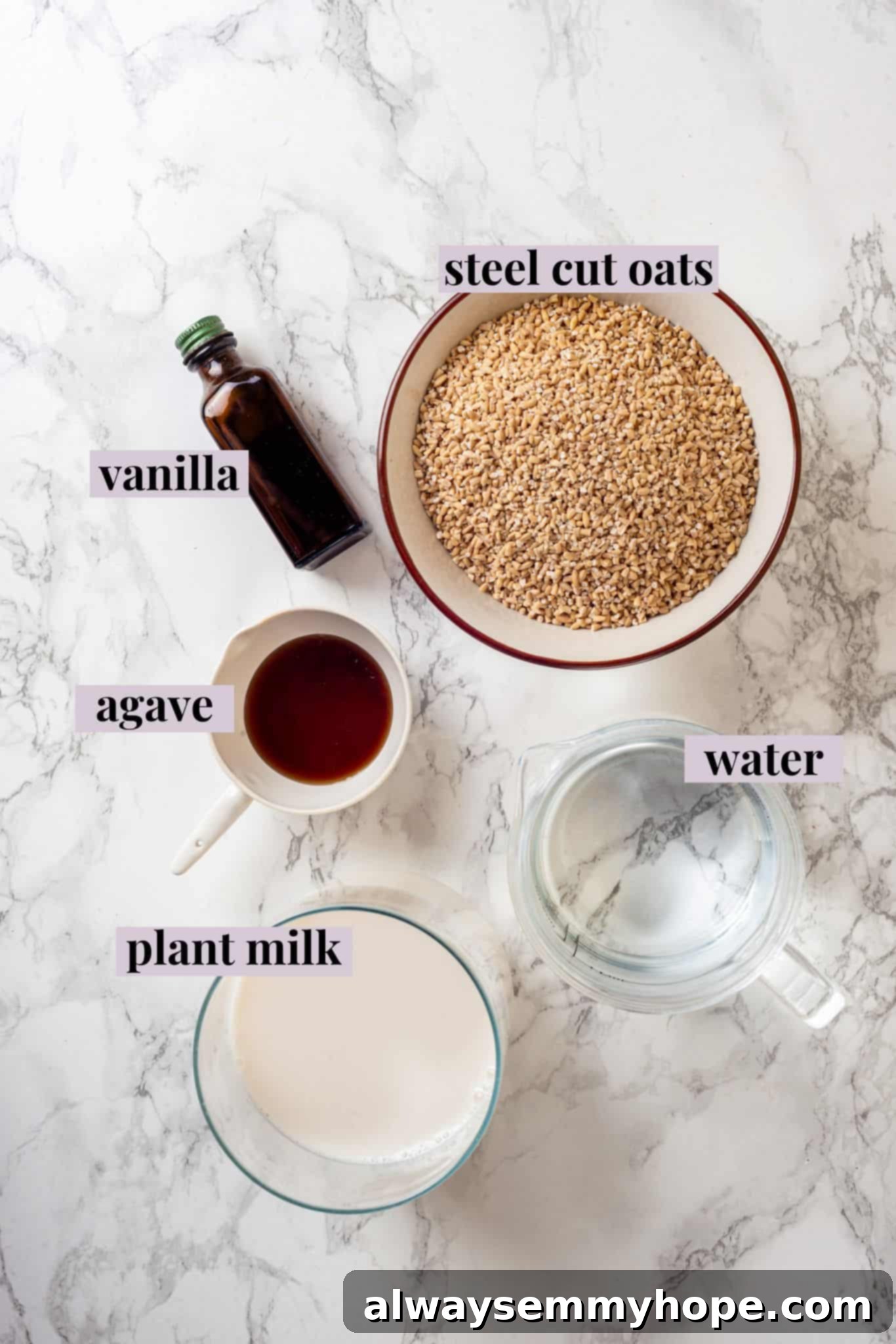 This Instant Pot steel-cut oats recipe is the easiest way to make hearty and creamy oatmeal for breakfast. Simple, hands-off recipe! Overhead view of raw ingredients for Instant Pot steel-cut oats: oats, milk, water, vanilla, agave