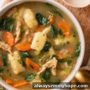 Creamy Gnocchi Soup 2 Top down view of gnocchi soup with kale and vegan chicken, ready to be served