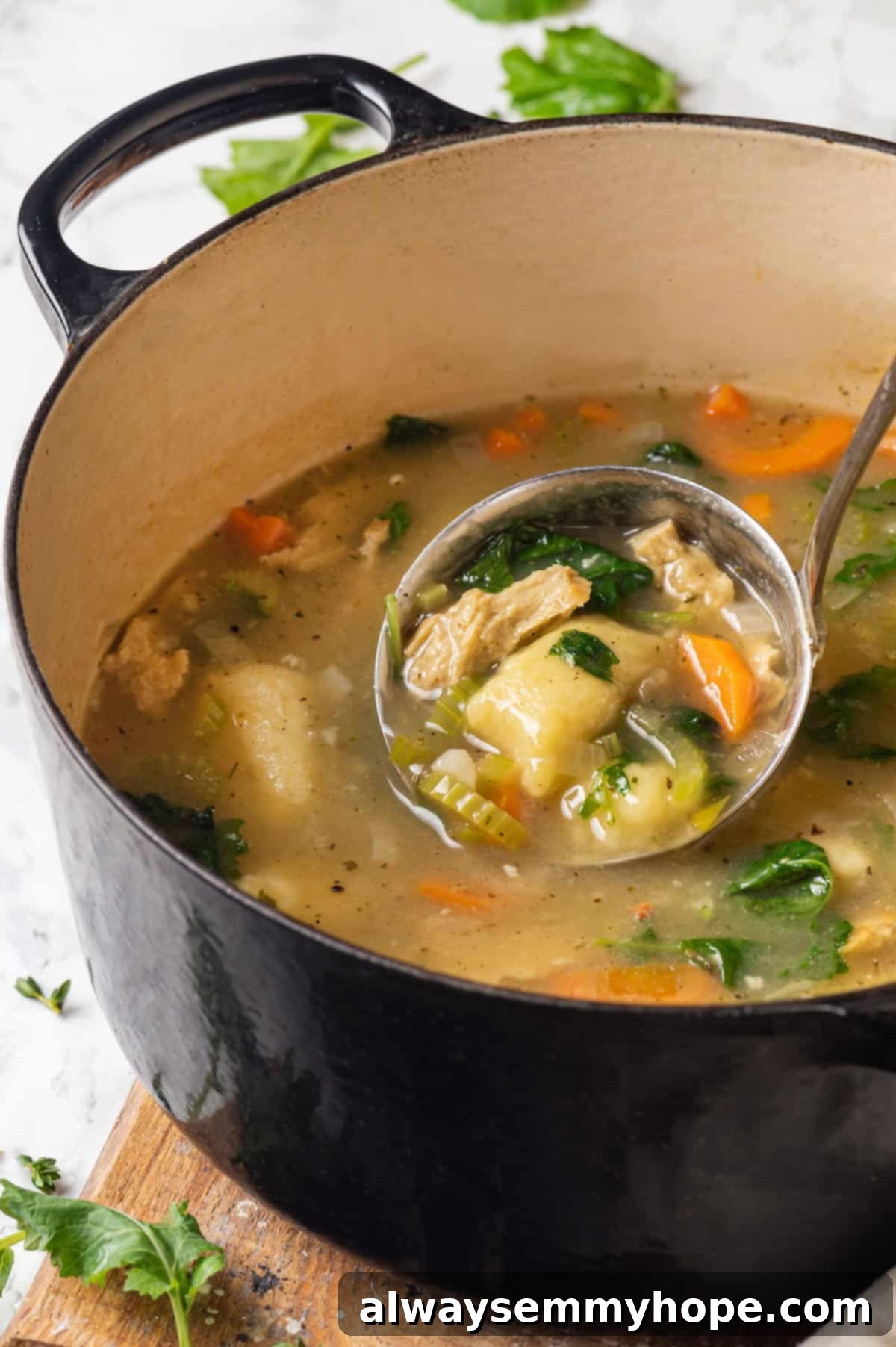 With kale, veggies, and lots of herbs and garlic, this easy gnocchi soup recipe is packed with flavour. It makes a hearty, satisfying meal! Ladleful of rich gnocchi soup being poured into a black Dutch oven, showing the creamy texture and colorful ingredients