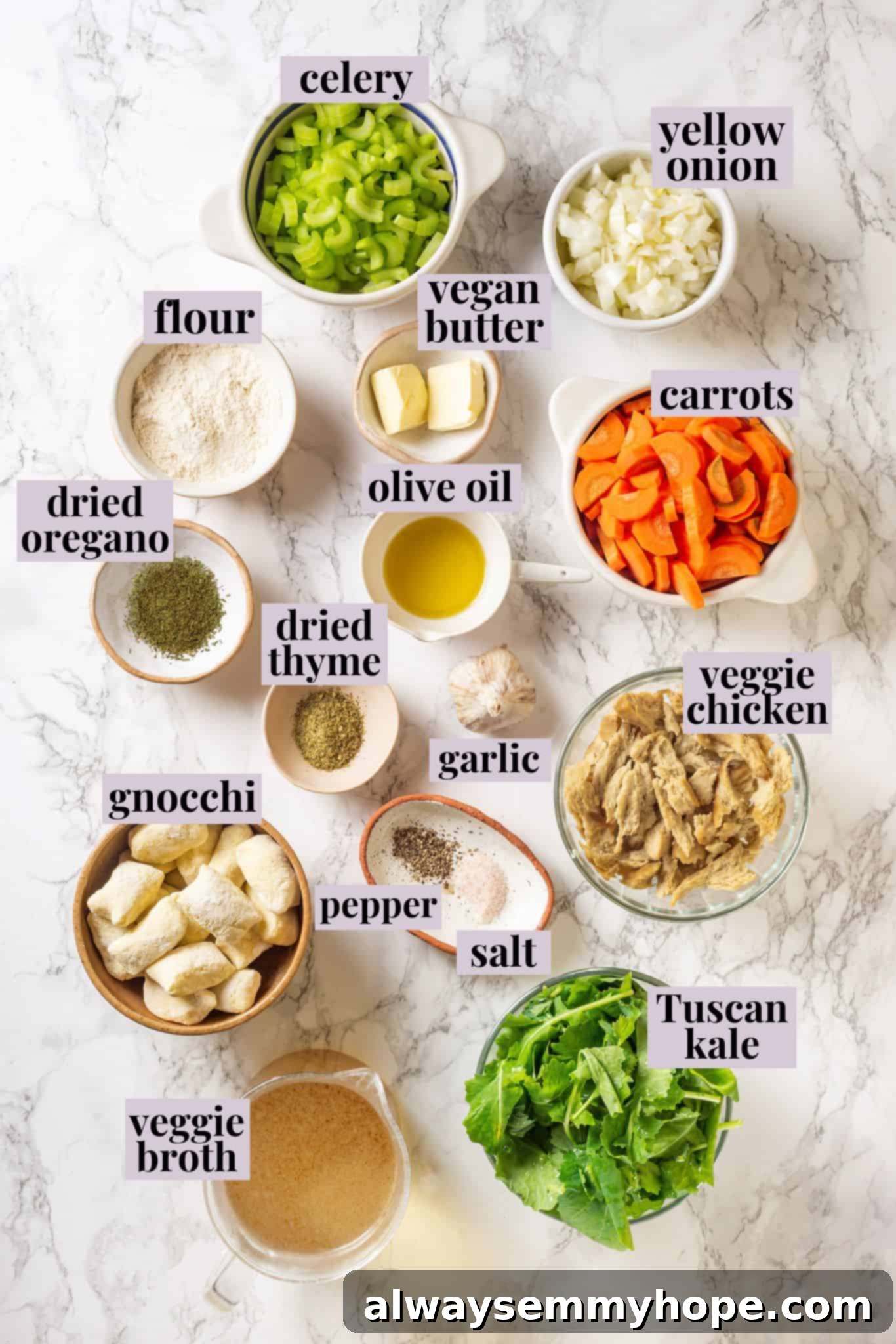 With kale, veggies, and lots of herbs and garlic, this easy gnocchi soup recipe is packed with flavour. It makes a hearty, satisfying meal! Overhead view of all the fresh and colorful gnocchi soup ingredients, neatly laid out with labels