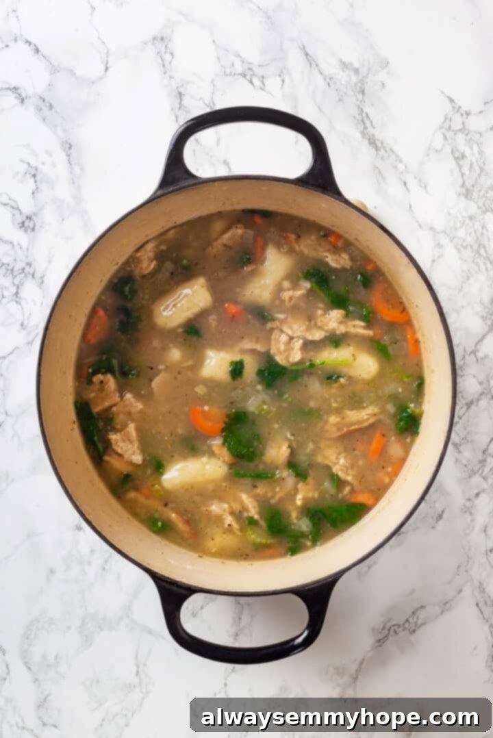 With kale, veggies, and lots of herbs and garlic, this easy gnocchi soup recipe is packed with flavour. It makes a hearty, satisfying meal! Overhead view of a finished gnocchi soup in a Dutch oven, filled with gnocchi, kale, and vegan chicken