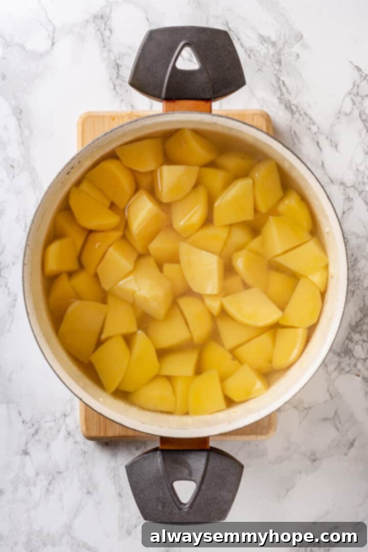 Potatoes in pot of water