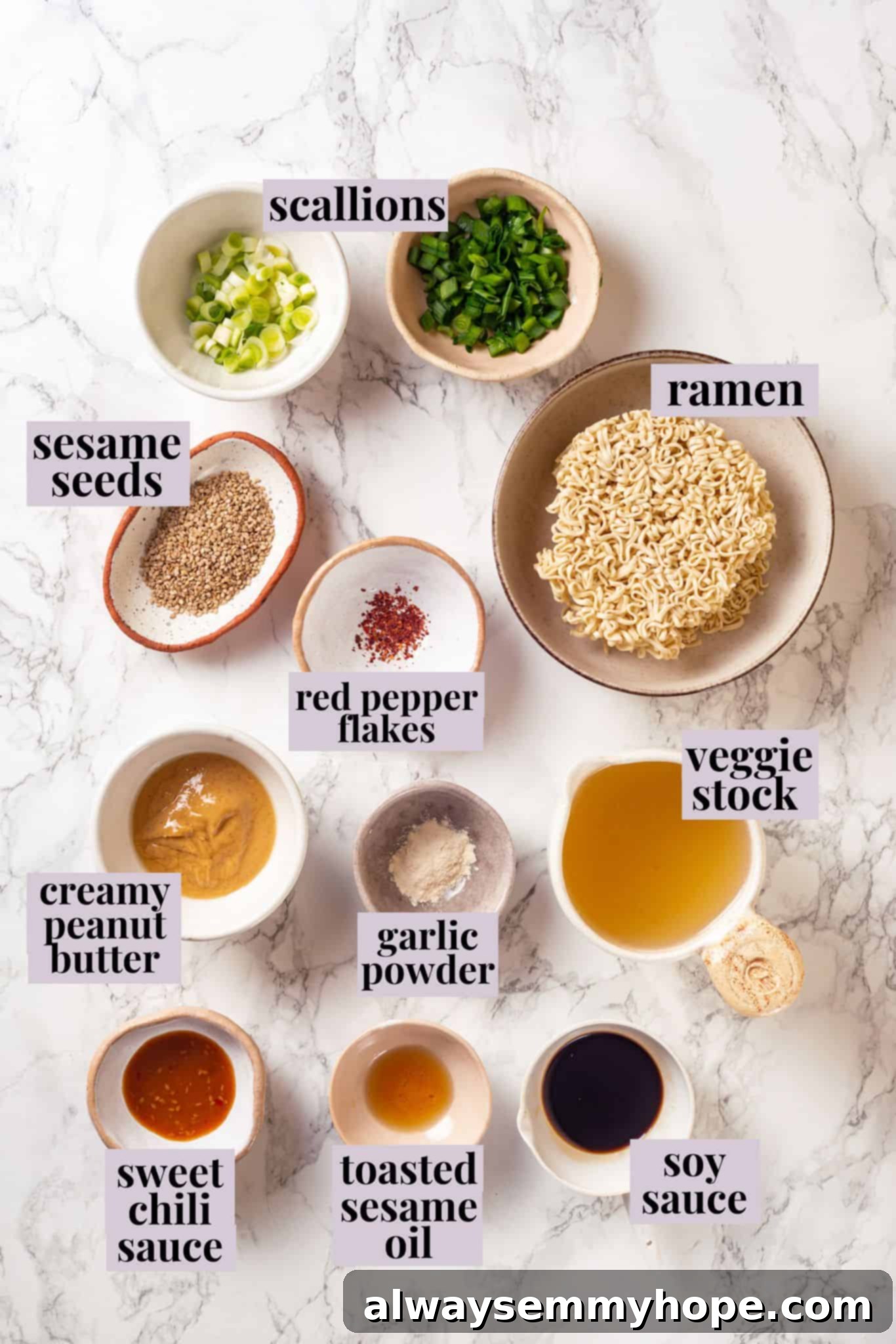 Overhead view of all ingredients for peanut butter ramen laid out with labels, including fresh scallions, sauces, and instant ramen noodles.