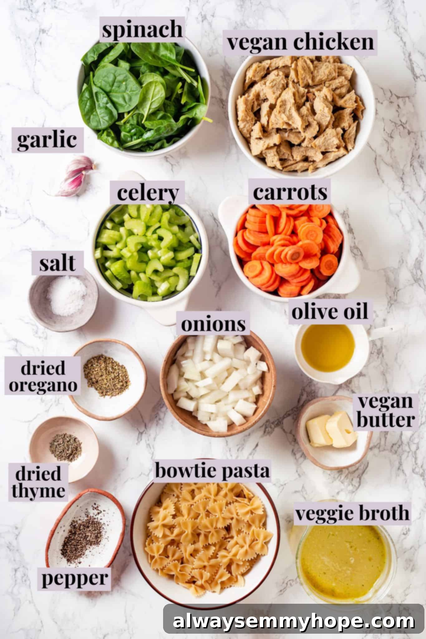 Overhead view of fresh ingredients for making vegan chicken noodle soup, including vegetables, pasta, and plant-based chicken.