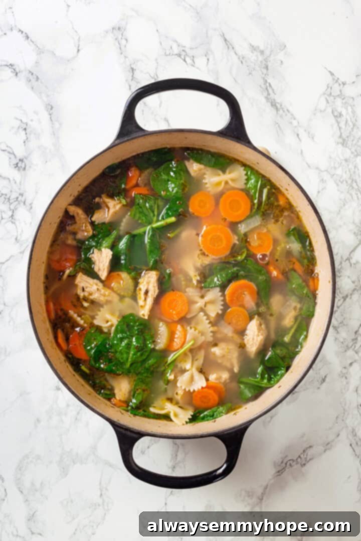 Close-up of a pot of finished vegan chicken noodle soup, with pasta, vegetables, and plant-based chicken visible.