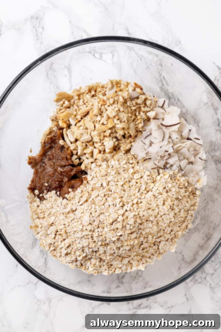 Overhead view of dry ingredients for homemade granola bars