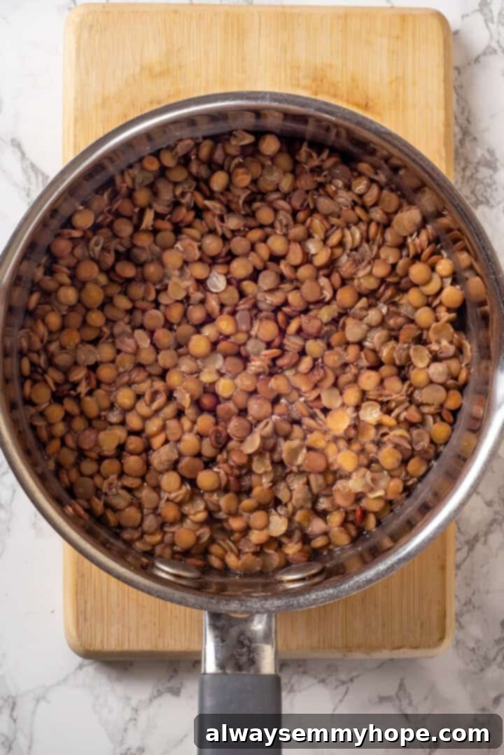This vegan moussaka recipe has all the flavour of the classic Greek eggplant dish, but with tender lentils and mushrooms replacing the meat! Overhead view of lentils in pot