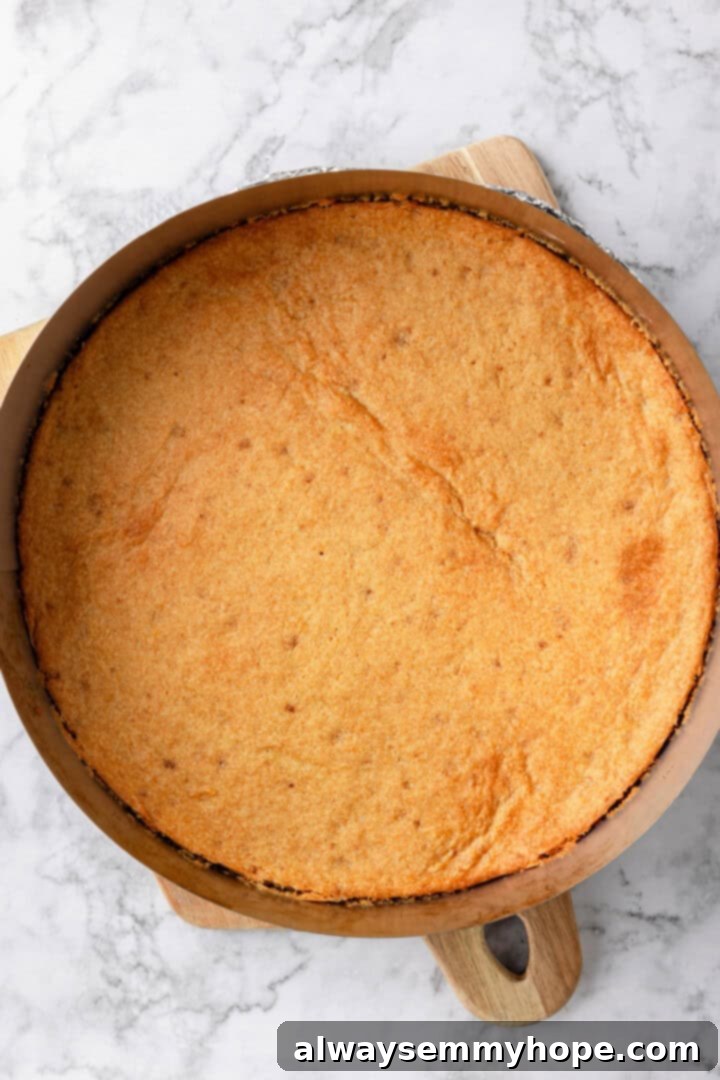 Baked sugar cookie crust in pan